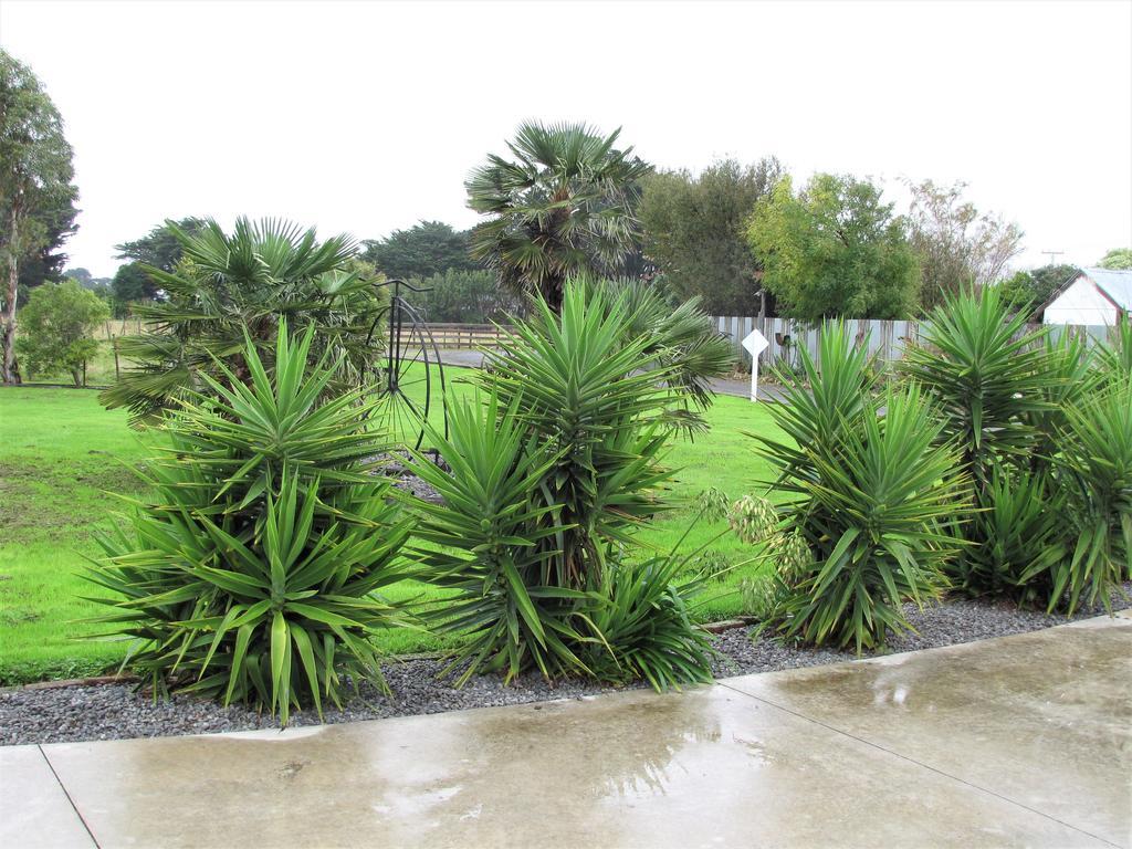Featherston Cruz Inn מראה חיצוני תמונה